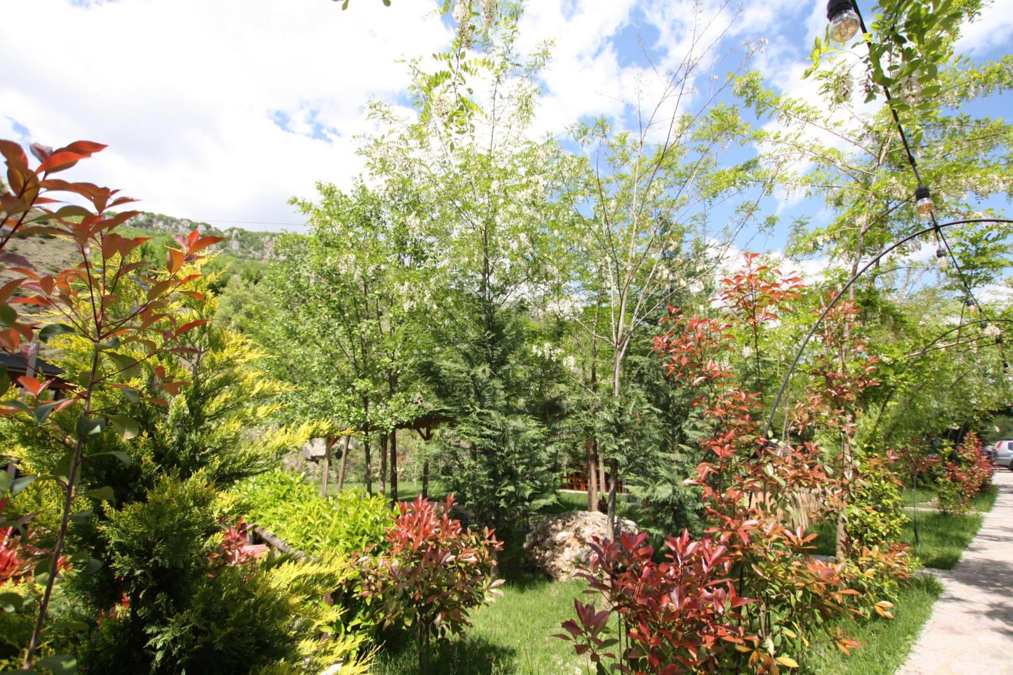 Lodge Lugina E Shengjergjit ,bujtinat